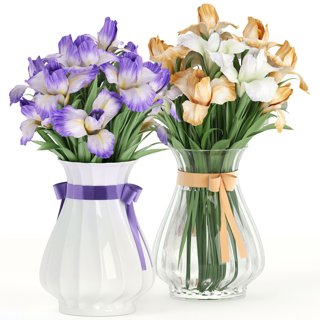 3D модель Flower_Pack_249C-002 для категории Растения / Комнатные растения - превью