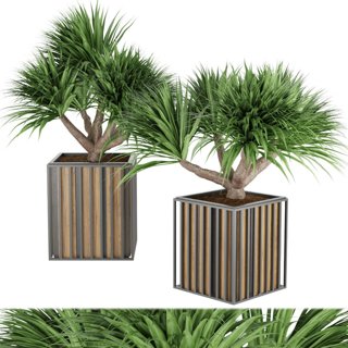 3D модель Collection plant vol 178 для категории Растения / Уличные растения - превью