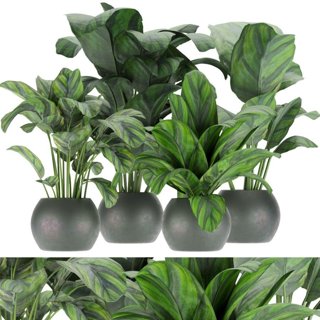3D модель Collection Plant Vol 297 для категории Растения / Комнатные растения - превью