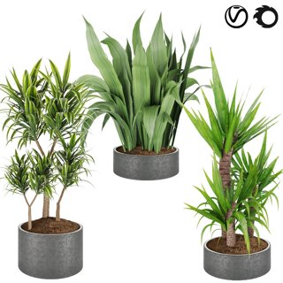 3D модель Collection plant vol 6 для категории Растения / Комнатные растения - превью