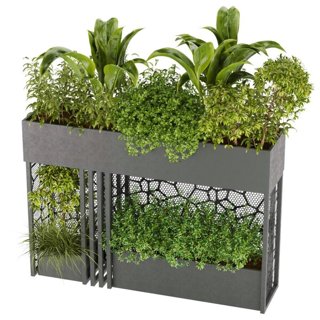 3D модель Collection plant vol 241 для категории Растения / Уличные растения - превью
