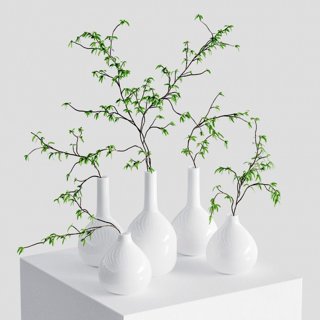 3D модель The Branches In The Vases для категории Растения / Комнатные растения - превью