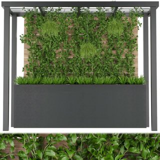3D модель Collection plant vol 209 для категории Растения / Уличные растения - превью