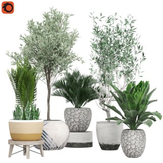3D модель FlowerPack 171C для категории Растения / Комнатные растения - превью