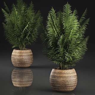 3D модель Decorative Palm In A Basket 828 для категории Растения / Комнатные растения - превью