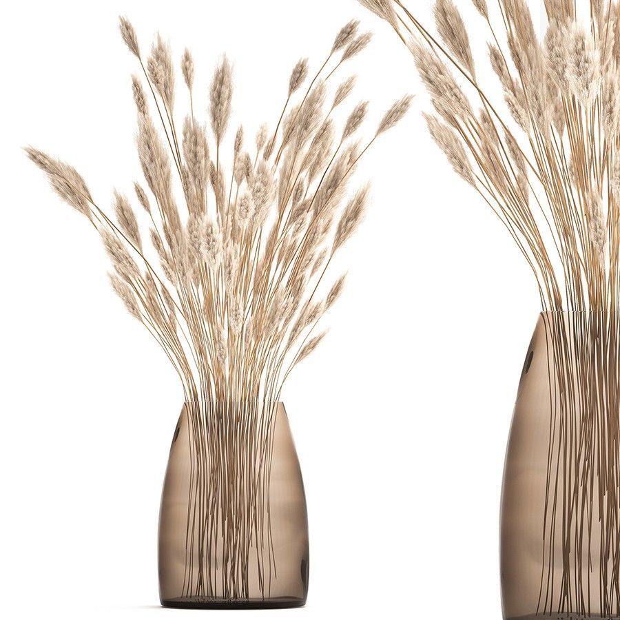 3D модель Bouquet Of Dried White Reeds In A Vase 149 для категории Растения / Комнатные растения - превью
