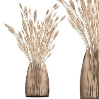 3D модель Bouquet Of Dried White Reeds In A Vase 149 для категории Растения / Комнатные растения - превью