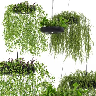 3D модель Indrid Decorative Plants Black Light By Lightmakers для категории Освещение / Подвесные светильники - превью