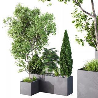 3D модель HQ Tree and bush garden box outdoor VOL 03 для категории Растения / Уличные растения - превью