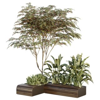 3D модель Urban Environment Set Of Green Plant Benches 19 для категории Растения / Уличные растения - превью