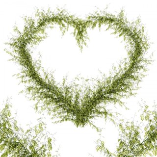 3D модель Heart From Leaves для категории Декор / Другие предметы интерьера - превью