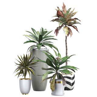 3D модель FLOWER PACK 115 S для категории Растения / Комнатные растения - превью