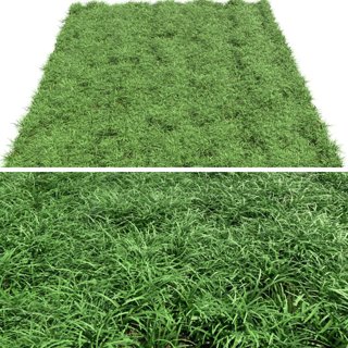 3D модель Green lawn для категории Растения / Трава - превью