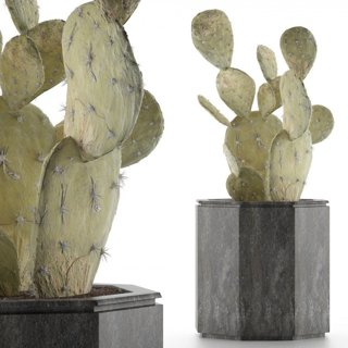 3D модель House Plant 34 для категории Растения / Комнатные растения - превью