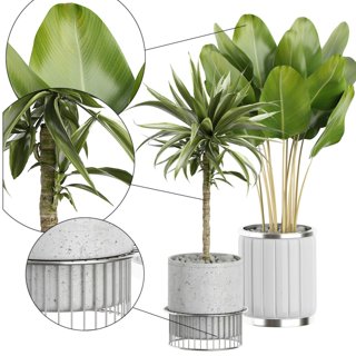 3D модель FLOWER PACK 62 для категории Растения / Комнатные растения - превью