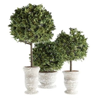 3D модель Outdoor Plants 02 для категории Растения / Уличные растения - превью