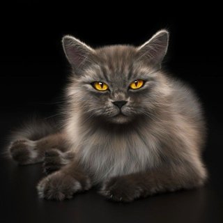 3D модель Cat 1 для категории Другие модели / Живые существа - превью