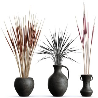 3D модель Decorative Stoilan Pampas Dried Branches Pampy для категории Растения / Комнатные растения - превью