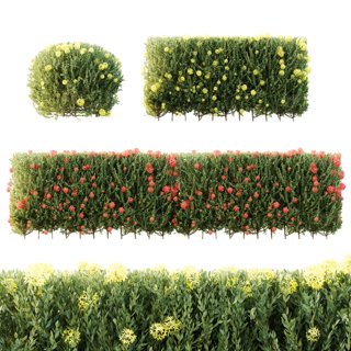3D модель Ixora Jasmine Gardens Chinese Dwarf Coccinea Box для категории Растения / Уличные растения - превью
