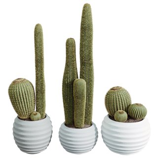 3D модель Av Houseplants Cactus Echinocactus Grusonii Golden для категории Растения / Комнатные растения - превью