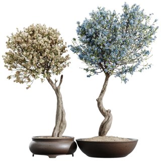 3D модель Tropez Planter Cherry Blossom Decorative TreeColor для категории Растения / Уличные растения - превью