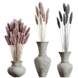3D модель Decorative Miscanthus Pampas Dried Branches Pampy5 для категории Растения / Комнатные растения - превью
