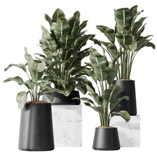 3D модель HQ Plants Bird Of ParadiseBird Vase Set05 для категории Растения / Комнатные растения - превью