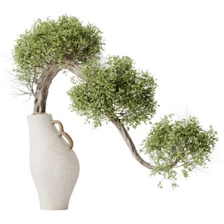 3D модель Houseplants Ficus Retusa Microcarpa Bonsai Ginseng для категории Растения / Уличные растения - превью