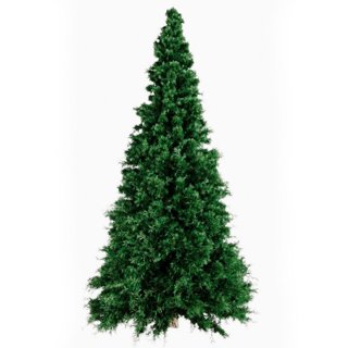 3D модель Pine 01 для категории Растения / Уличные растения - превью