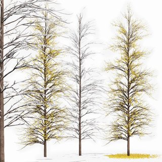 3D модель Real Tree Maidenhair Ginkgo Biloba Winter Tree для категории Растения / Деревья - превью