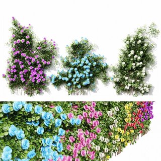 3D модель Climbing Roses Wall01 Grow для категории Растения / Уличные растения - превью
