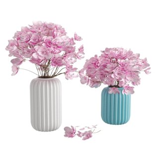 3D модель Flower Magnolia для категории Растения / Комнатные растения - превью
