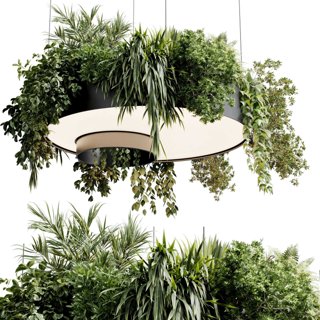 3D модель circle pot light pendant - plant light hanging 23 для категории Освещение / Подвесные светильники - превью