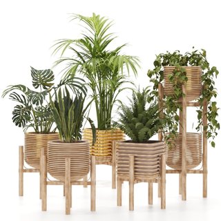 3D модель Plant-Collection-01 three wooden planters для категории Растения / Комнатные растения - превью