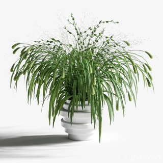 3D модель Bouquet Of Grass With Knobs для категории Растения / Комнатные растения - превью