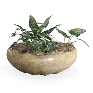 3D модель Plant Pot для категории Растения / Комнатные растения - превью