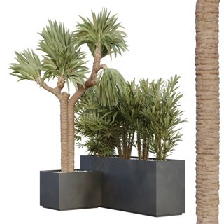 3D модель Hq Tree And Bush Garden Box Outdoor Vol 45 для категории Растения / Уличные растения - превью