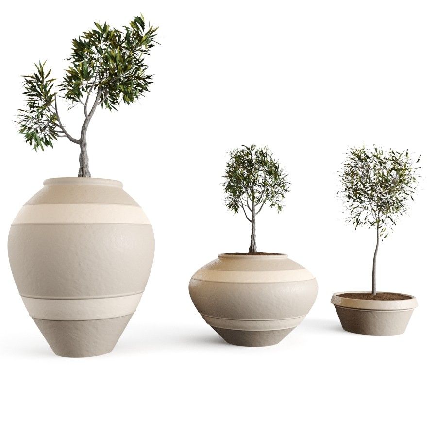 3D модель Olive European Vases для категории Растения / Уличные растения - превью