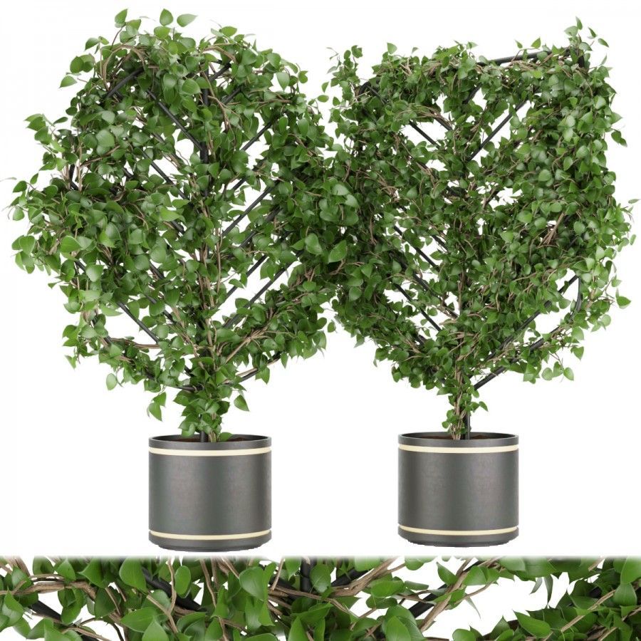 3D модель Collection plant vol 101 для категории Растения / Уличные растения - превью