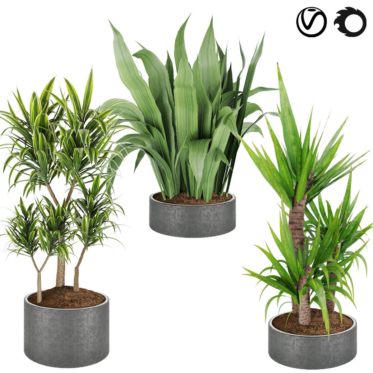 3D модель Collection plant vol 6 для категории Растения / Комнатные растения - превью