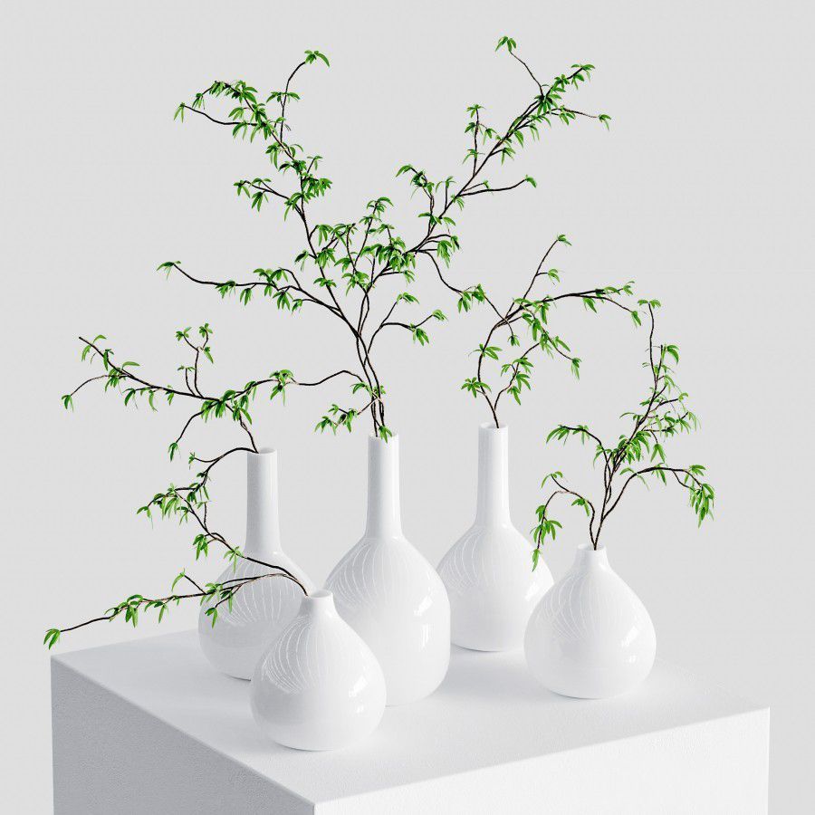 3D модель The Branches In The Vases для категории Растения / Комнатные растения - превью