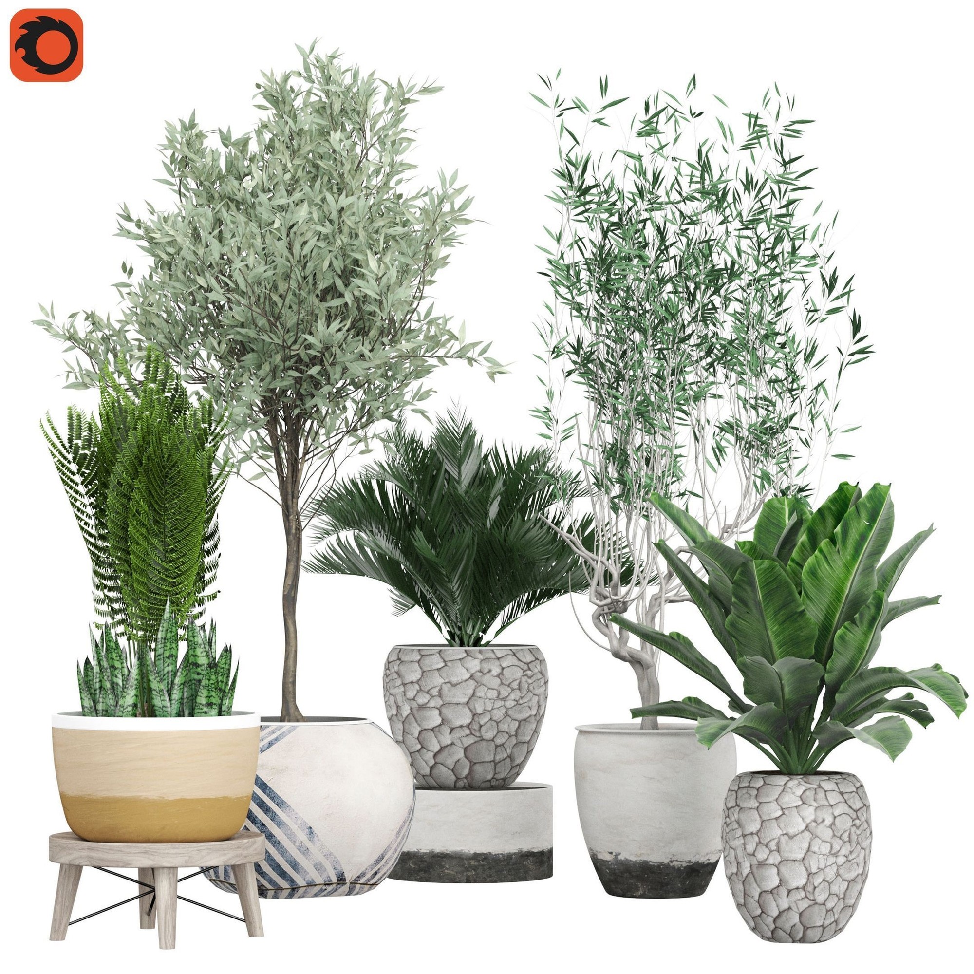 3D модель FlowerPack 171C для категории Растения / Комнатные растения - превью