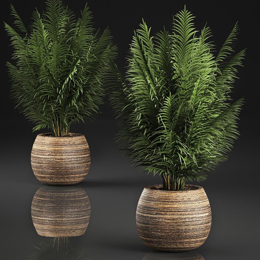 3D модель Decorative Palm In A Basket 828 для категории Растения / Комнатные растения - превью