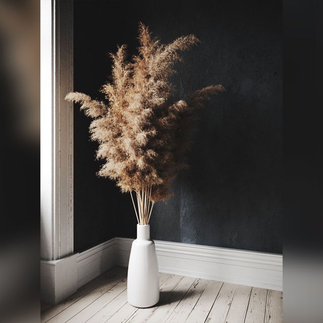 3D модель Pampas Grass для категории Растения / Комнатные растения - превью