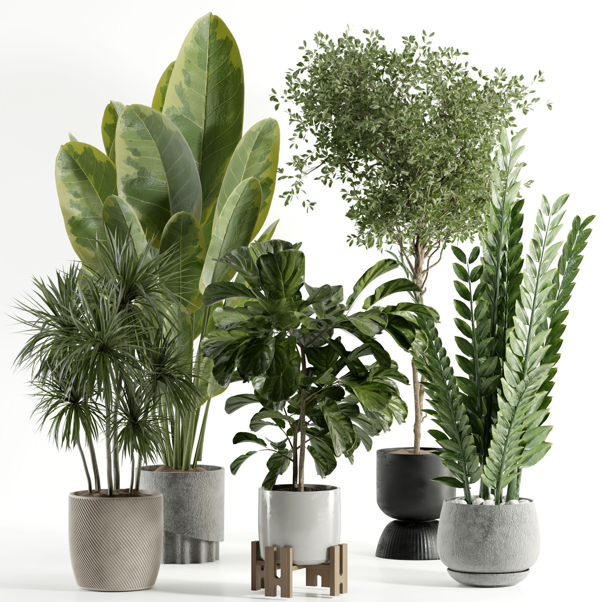 3D модель Indoor plant 528 для категории Растения / Комнатные растения - превью