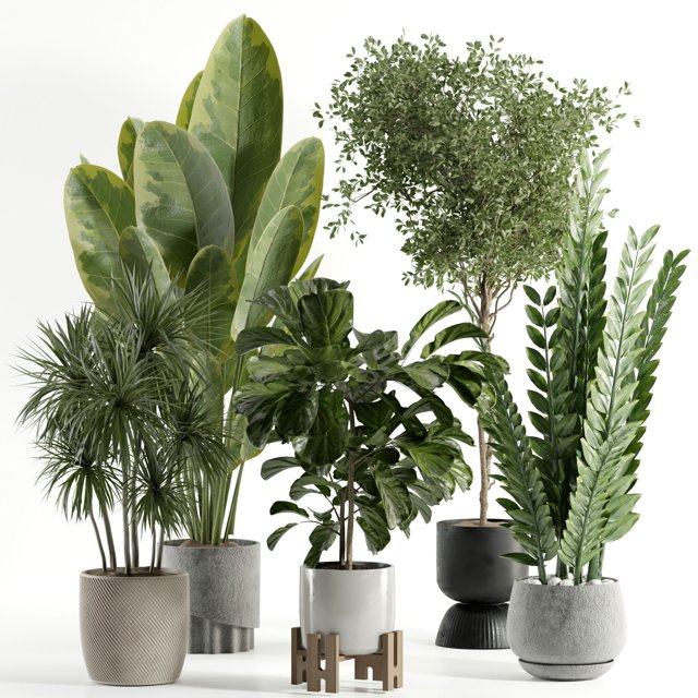 3D модель Indoor plant 528 для категории Растения / Комнатные растения - превью